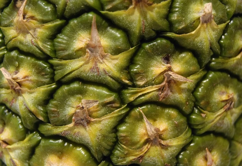 a close up view of a pineapple, a macro photograph, by Jon Coffelt, hurufiyya, seamless texture, stock photo