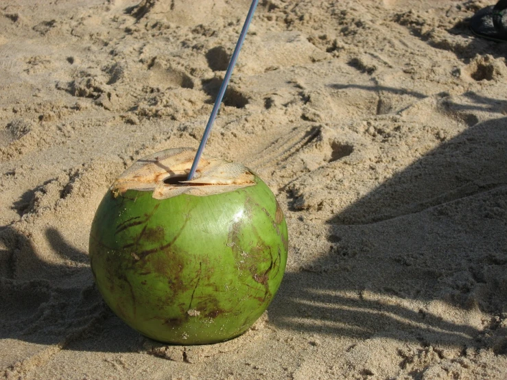 a green coconut sitting on top of a sandy beach, flickr, with a straw, f2.2, boston, b