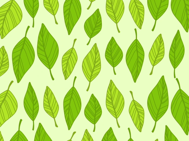 a pattern of green leaves on a light green background, hand drawn illustration, elder, full color illustration, linear illustration