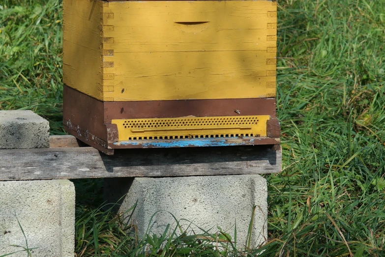 a beehive sitting on top of a cement block, by Attila Meszlenyi, flickr, truncated snout under visor, hardmesh post, deck, brilliantly colored