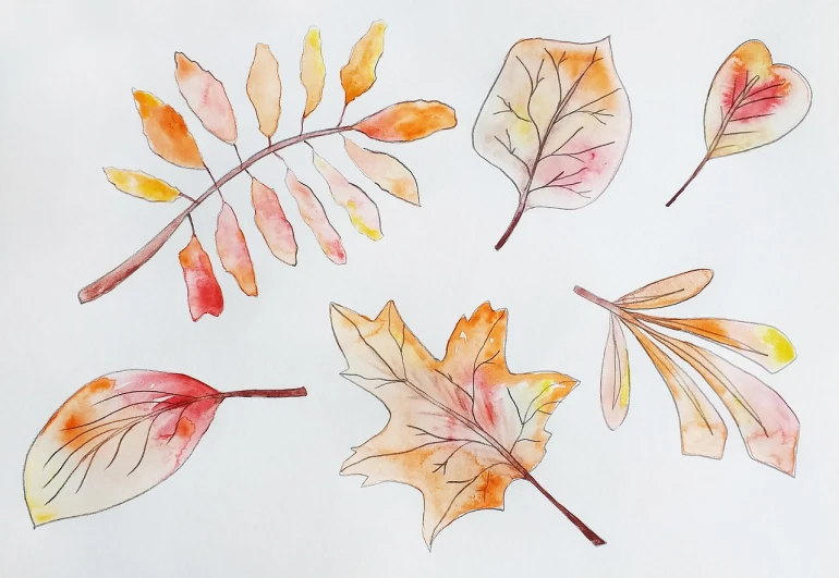 a drawing of autumn leaves on a piece of paper, a watercolor painting, by Maksimilijan Vanka, shutterstock, process art, pale orange colors, ultrawide watercolor, annie leibowit, in gouache detailed paintings