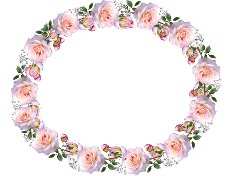 a wreath of pink roses and baby's breath on a black background, a digital rendering, by Susan Heidi, flickr, romanticism, stop frame animation, oval face, transparent background, ornate border frame