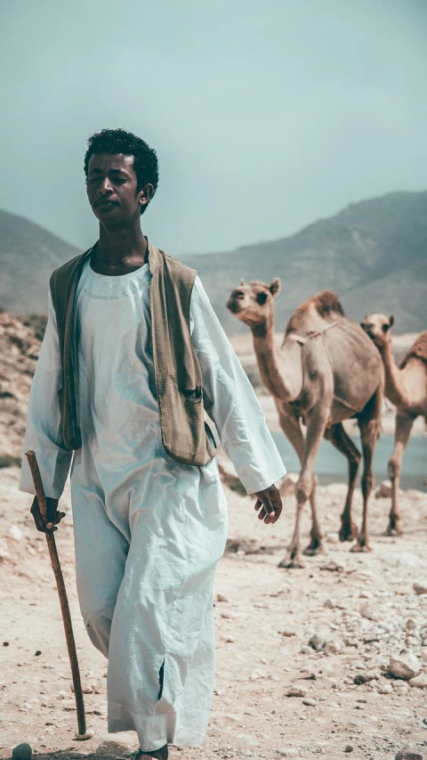 a man standing in front of a herd of camels, a picture, by Matthias Weischer, figuration libre, nubian, movie still of a tired, pilgrimage, brown skinned