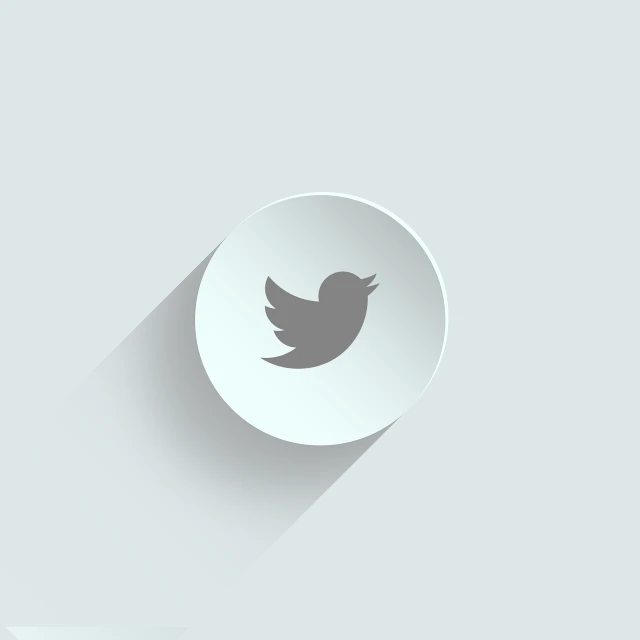 a white button with a shadow of a bird, trending on pixabay, digital art, twitter, solid light grey background, eagles, circural