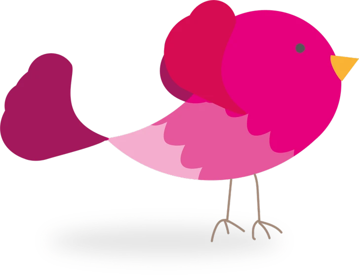 a pink bird standing on a black surface, an illustration of, inspired by Paul Bird, pixabay contest winner, !!! very coherent!!! vector art, various posed, loosely cropped, animation still