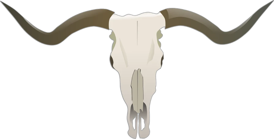 an animal skull with long horns on a white background, a cartoon, by Karel Štěch, pixabay, skull cap, prairie, cow, badlands