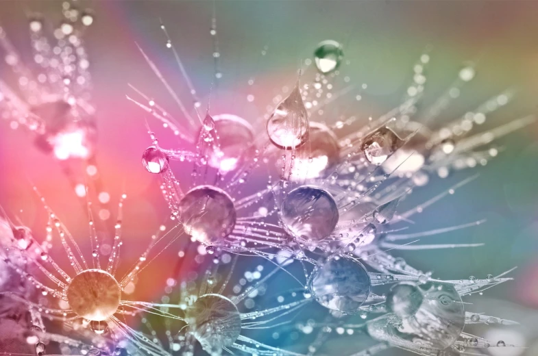 a close up of water droplets on a flower, by Marie Bashkirtseff, digital art, ethereal rainbow bubbles, rainbow mycelium, beautiful art uhd 4 k, soft colors