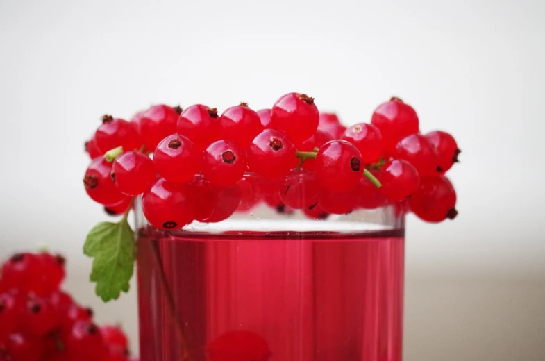 a glass filled with red berries sitting on top of a table, hurufiyya, close-up product photo, istockphoto, refreshing colour, gradins