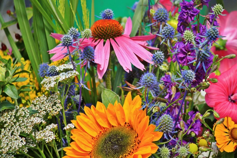 a close up of a bunch of flowers, by Lorraine Fox, bright colors ultrawide lens, herbs and flowers, bright saturated colors, summer morning