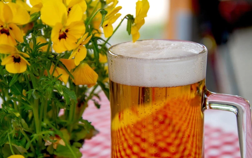 a glass of beer sitting on top of a table, a stock photo, photorealism, flowers around, detailed zoom photo, very accurate photo