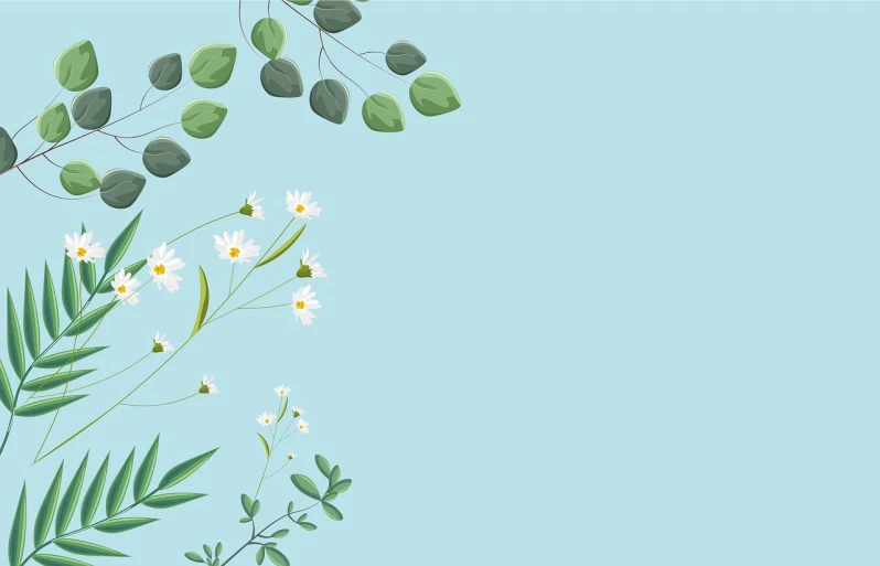 a plant with white flowers and green leaves, an illustration of, minimalism, relaxed. blue background, various backgrounds, woody foliage, realistic illustration