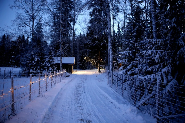 a snow covered path in the middle of a forest, inspired by Eero Järnefelt, flickr, swedish house, christmas night, driveway, wide angle”