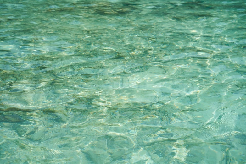 a close up of a body of water with a frisbee in it, by Richard Carline, shutterstock, glass texture, carribean turquoise water, transparency glass, stock photo