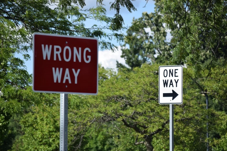a one way sign next to a wrong way sign, by Whitney Sherman, precisionism, beginner, first place, filmed in 70mm, biblically accurate