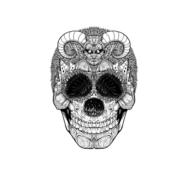 a black and white drawing of a skull, a detailed drawing, by Adam Marczyński, horned ram goddess, vectorised, hidden, lowres