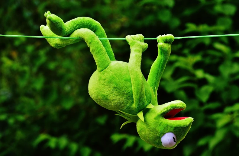 a green stuffed frog hanging on a clothes line, by Hans Schwarz, pexels, saul goodman as a muppet, avatar image, mobile wallpaper, plush