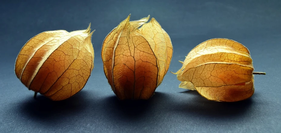 a couple of fruits sitting on top of a table, a macro photograph, by Galen Dara, pixabay, hyperrealism, radiolaria, in a row, dried leaves, glowing from inside