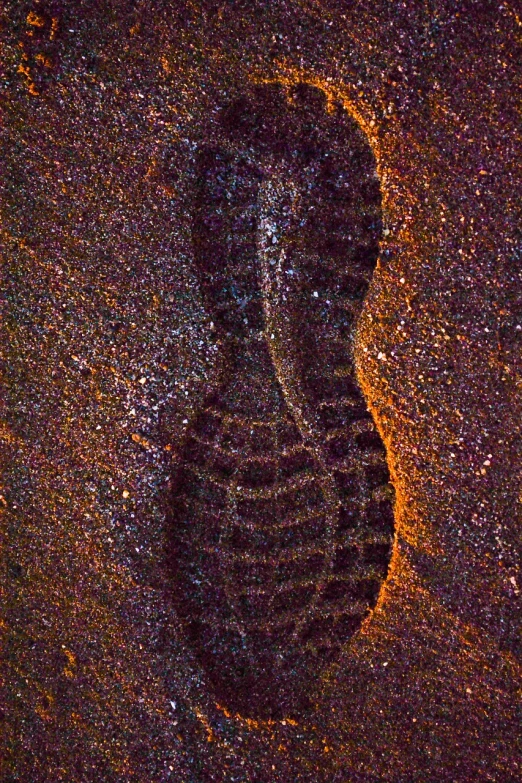 a close up of a shoe print on the ground, a microscopic photo, by Jon Coffelt, flickr, space art, portrait of a sacred serpent, full body within frame, dusk, detailed scan