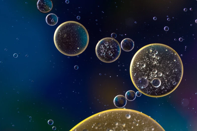 a bunch of bubbles that are floating in the water, a microscopic photo, by Jan Rustem, flickr, digital art, sterile background, oils, smooth round shapes, medical photography