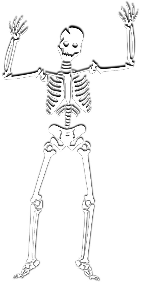 a black and white drawing of a skeleton, lineart, pixabay, cell shaded cartoon, illustration black outlining, ( ( ( skeleton ) ) ), two legged with clawed feet