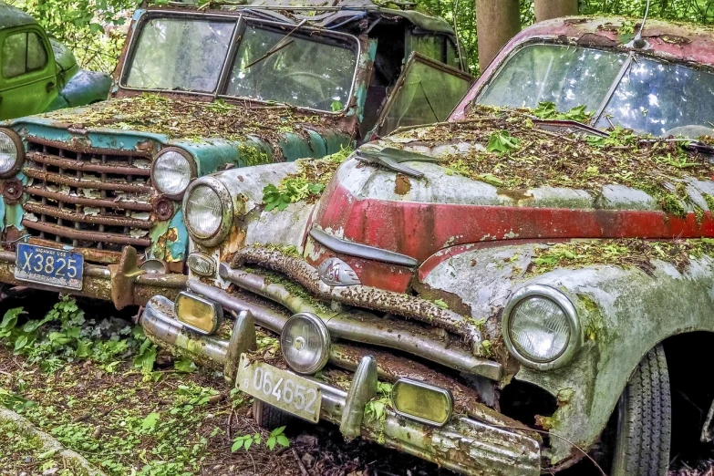 a couple of old trucks parked next to each other, by Arnie Swekel, german forest, elaborate composition, the cars have faces, scrape off