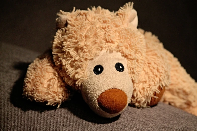 a close up of a teddy bear on a couch, a picture, pixabay, hurufiyya, tired face, stuffed toy, camel, stringy