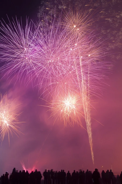 a group of people watching fireworks in the sky, a picture, by Alexander Fedosav, pexels, figuration libre, pink and purple, vertical wallpaper, clematis like stars in the sky, stock photo