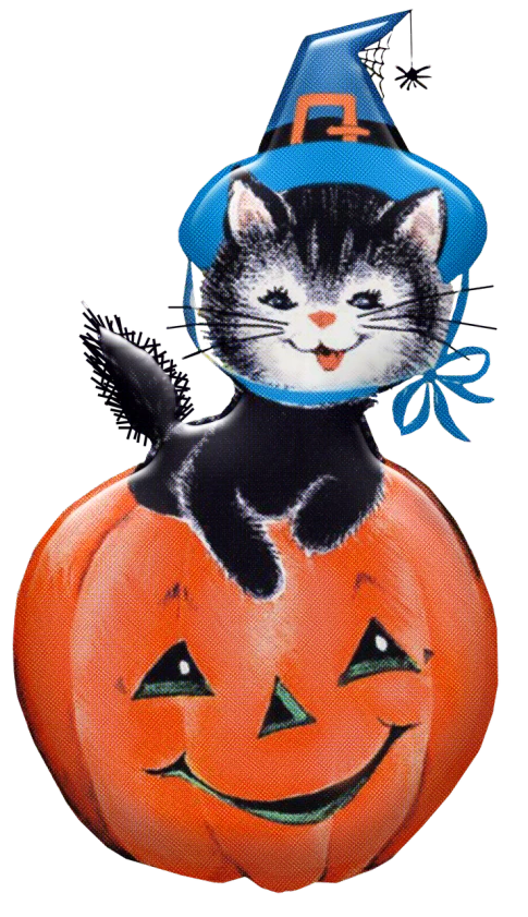 a black and white cat sitting on top of a pumpkin, a digital rendering, 2 5 6 x 2 5 6 pixels, vintage!, costume, : :