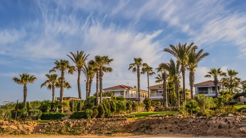 a group of palm trees sitting on top of a lush green field, by Zahari Zograf, shutterstock, modernism, beachfront mansion, cyprus, 33mm photo, residential area