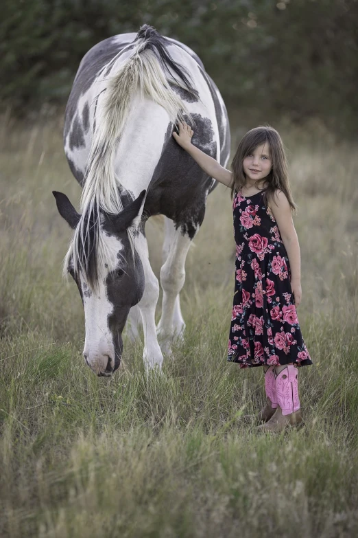 a little girl standing next to a horse in a field, a portrait, by Wayne England, art photography, holding paws, taken with canon 5d mk4, very sharp and detailed photo, family photo