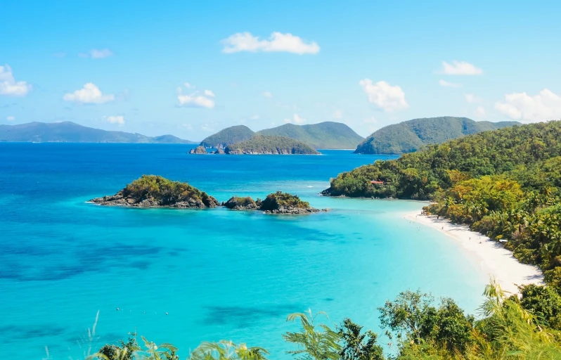 a large body of water next to a lush green hillside, by John Luke, shutterstock, at a tropical beach, brown and cyan blue color scheme, islands, tiffany style