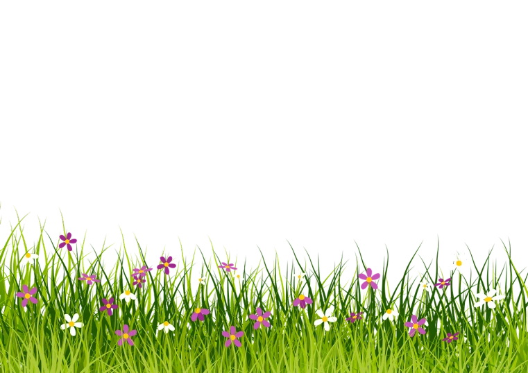 a field of green grass with purple and white flowers, conceptual art, on a flat color black background, isolated background, without text, lineless