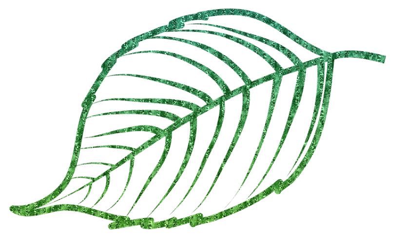 a close up of a green leaf on a black background, a digital rendering, inspired by Masamitsu Ōta, pixabay, generative art, glitter, simple path traced, linear illustration, glitter gif