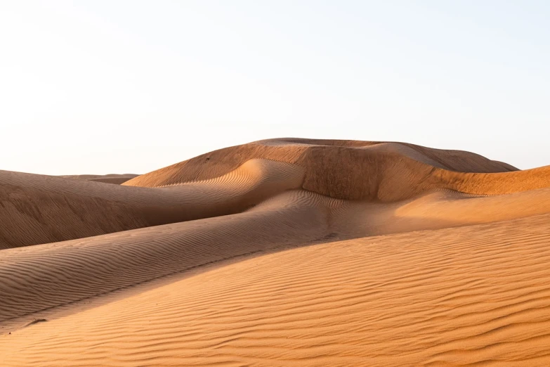 a person riding a horse in the desert, a picture, by Matthias Weischer, featured on shutterstock, fine art, dune (2021), curved lines, dubai, buried in sand