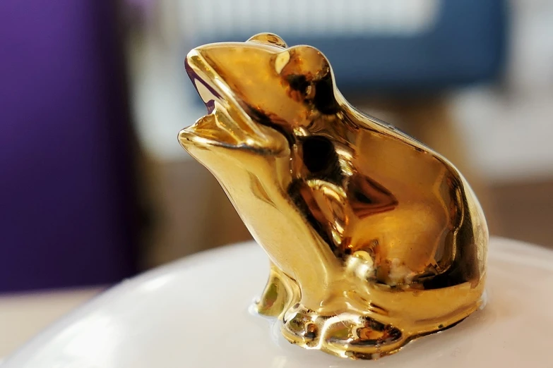 a gold frog figurine sitting on top of a white plate, a portrait, inspired by Jeff Koons, pixabay, 👰 🏇 ❌ 🍃, metallic polished surfaces, close up shot of an amulet, soap