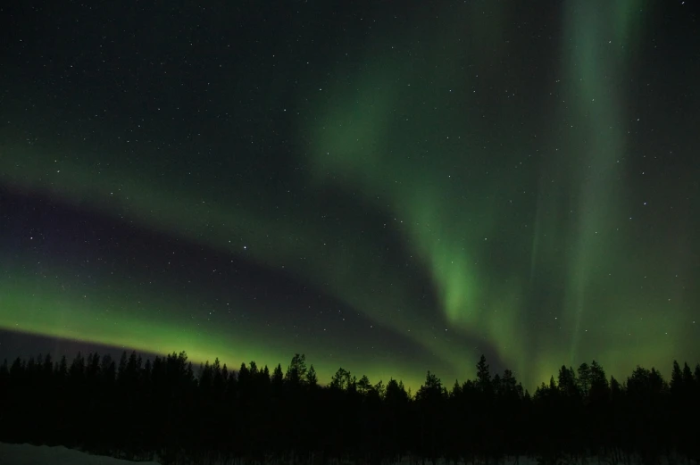 the aurora bore lights up the night sky, by Eero Snellman, pexels, hurufiyya, swedish forest, video still, 6 4 0, blog-photo