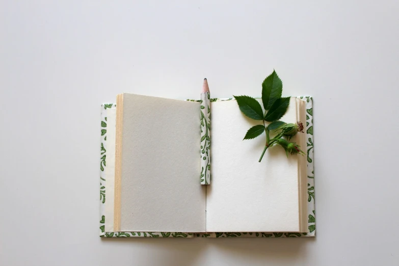 an open book with a green leaf sticking out of it, inspired by Masamitsu Ōta, trending on pixabay, romanticism, emma bridgewater and paperchase, pencil, interior view, handmade