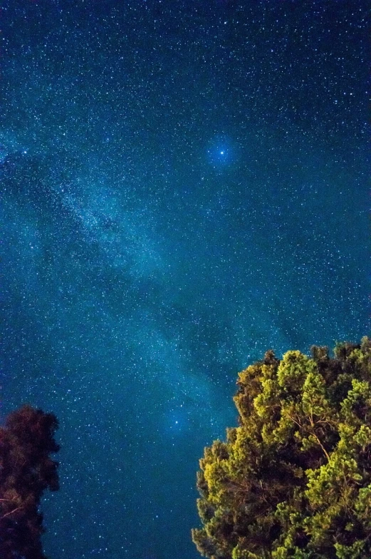 a night sky filled with lots of stars, by Matthew D. Wilson, big island, trees and stars background, medium close up, green and blue