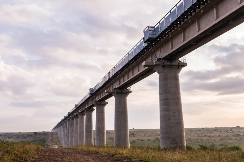 a train going over a bridge on a cloudy day, by Afewerk Tekle, shutterstock, tall columns, vertical portrait, masai, side view from afar