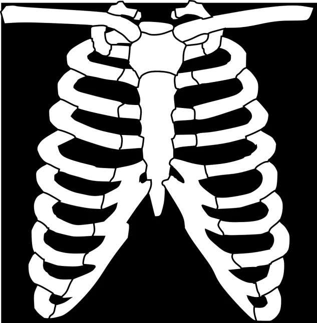 a black and white drawing of a rib cage, pixabay, hurufiyya, vest, top down drawing, computer - generated, flat