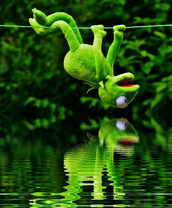 a frog that is hanging upside down in the water, a picture, by Hans Schwarz, pexels, fantastic realism, plush toy, mobile wallpaper, kermit, 😃😀😄☺🙃😉😗