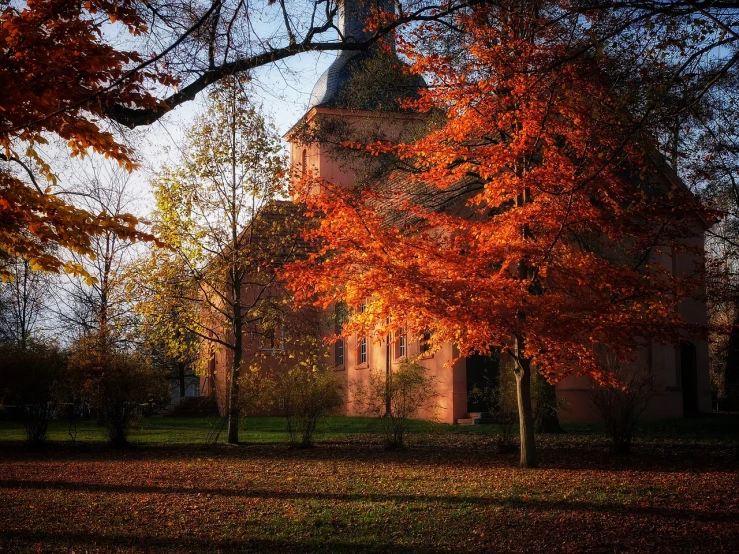 a church with a steeple surrounded by trees, a photo, by Sebastian Spreng, baroque, light red and orange mood, autumn sunlights, zdzisław, breath-taking beautiful trees