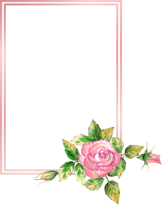a pink rose with green leaves on a black background, a digital rendering, romanticism, frame, japanese related with flowers, watercolor background, corner