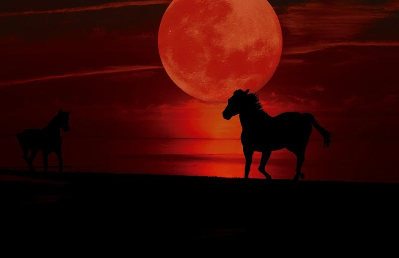 a couple of horses that are standing in the grass, a stock photo, romanticism, red moon over stormy ocean, on a red background, high res photo, blood moon background