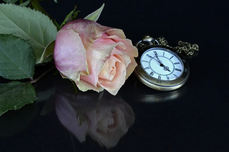 a rose and a pocket watch on a table, a photo, pixabay, romanticism, beautiful reflexions, pink rosa, endless, high detailed photo