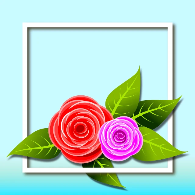 a picture of two roses with leaves on a blue background, square pictureframes, three-dimensional image, sasai ukon masanao, colourful flowers bouquet