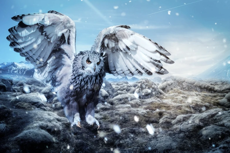 a large bird standing on top of a snow covered ground, trending on pixabay, fantasy art, hyperrealistic robot owl, fierce expression 4k, electric cats that fly over ice, with white fluffy fur