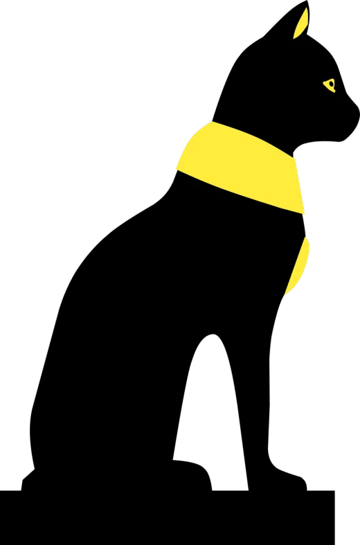a close up of a banana on a black background, an album cover, inspired by Patrick Caulfield, deviantart, helmet instead of a head, very very low quality picture, rotoscoped, burka