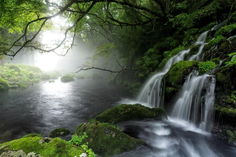 a stream running through a lush green forest, a picture, shutterstock, shin hanga, waterfall. fog, summer morning, gunma prefecture, magical white fog