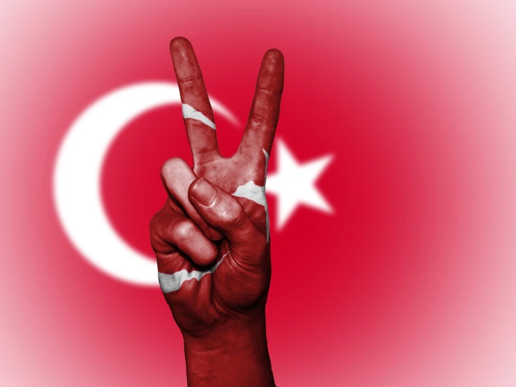 a person making a peace sign with their hand, by Nevin Çokay, hurufiyya, red flags holiday, kerem beyit, flag in hands, thank you very much